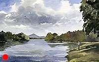 Conon